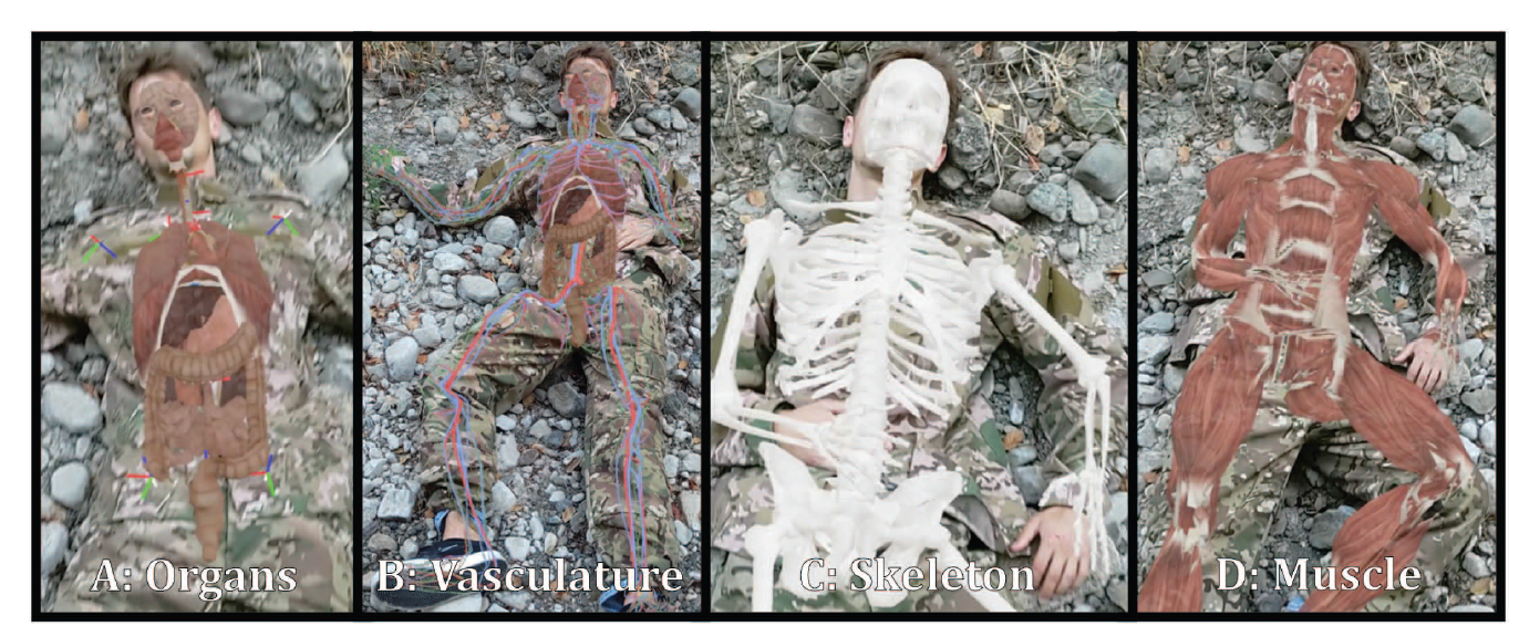 NARA being used for human body pose estimation.